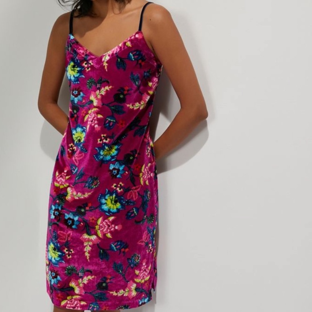 Anthropologie Floral Velvet Dress